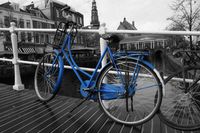 Den Haag Blue Bike